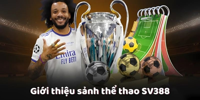 Sảnh cá cược thể thao với hàng loạt các trận đấu hấp dẫn